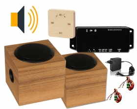 Set ozvučenie sauny Hi-Fi PRO, abachi