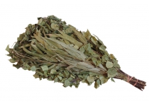 Saunová metlička, breza a eukalyptus