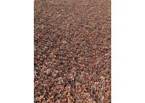 Dekoratívny saunový obklad CONE PANEL, borovicová šiška 510x510mm