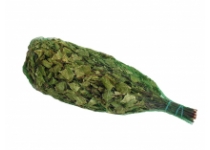 Saunová metlička, breza