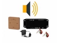 Prehrávač s ovládačom GALA, osika THERMOWOOD