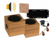 Set ozvučenie sauny Hi-Fi PRO, céder